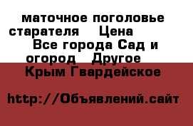 маточное поголовье старателя  › Цена ­ 3 700 - Все города Сад и огород » Другое   . Крым,Гвардейское